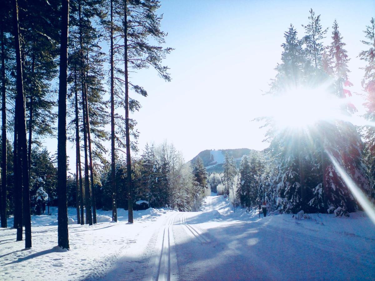 Vasa Ski Lodge Mora Eksteriør bilde